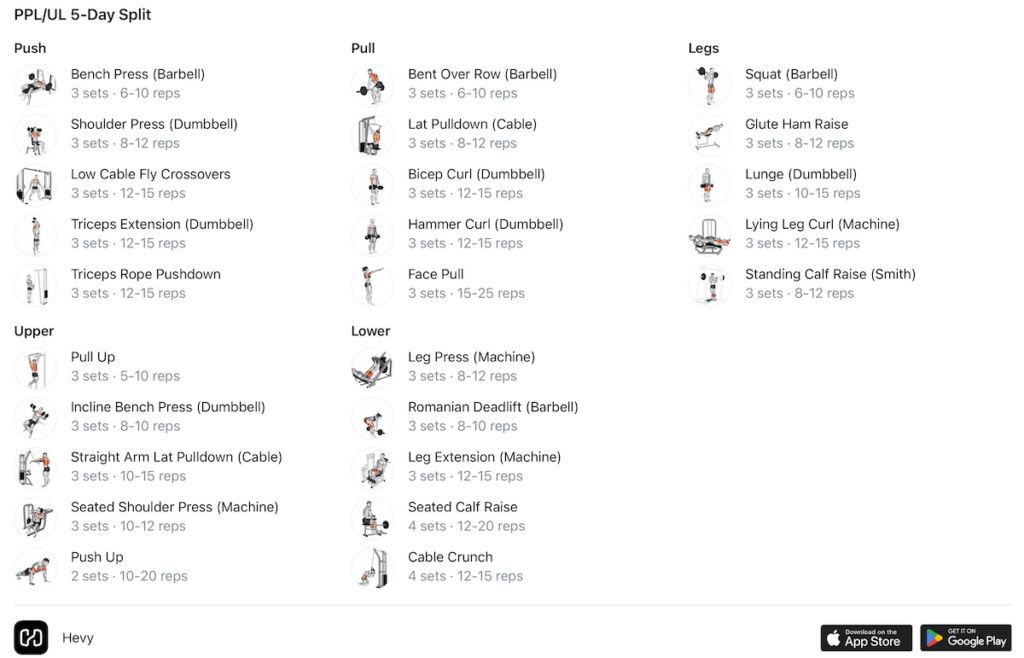 an example of a push pull legs upper lower 5-day split